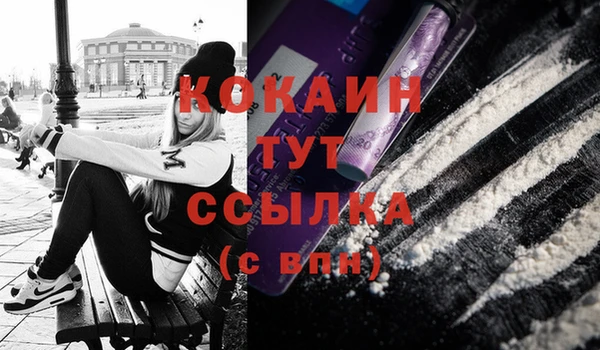 стаф Дмитровск