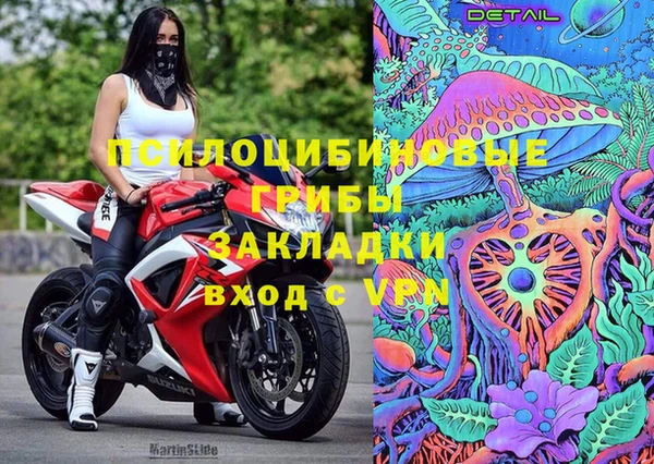стаф Дмитровск