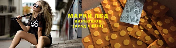 сатива Дмитров