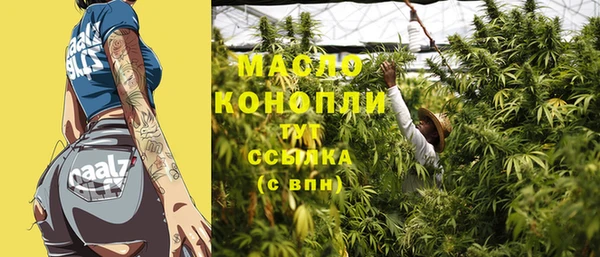 прущая мука Дмитриев