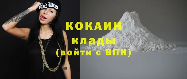 сатива Дмитров