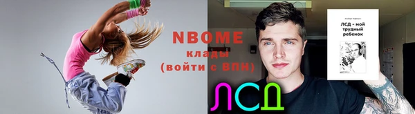 ПСИЛОЦИБИНОВЫЕ ГРИБЫ Ельня