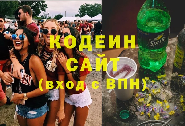 ПСИЛОЦИБИНОВЫЕ ГРИБЫ Ельня