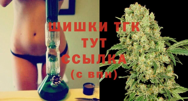 стаф Дмитровск