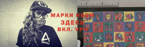 стаф Дмитровск