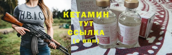 стаф Дмитровск