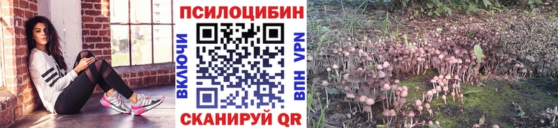 Псилоцибиновые грибы мухоморы  хочу наркоту  ОМГ ОМГ сайт  Сочи 